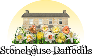 Stonehouse Daffodils LLC